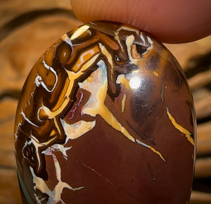 63.7cts - Tribal Queensland Boulder Opal Half Price Bargain