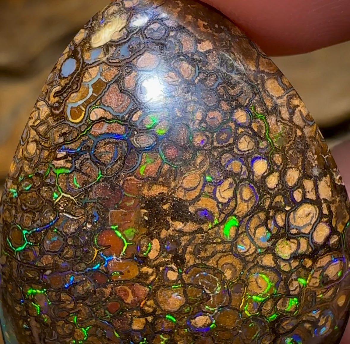 63.2cts - Yowah Nut Tribal. Australian Boulder Opal - Opal Whisperers