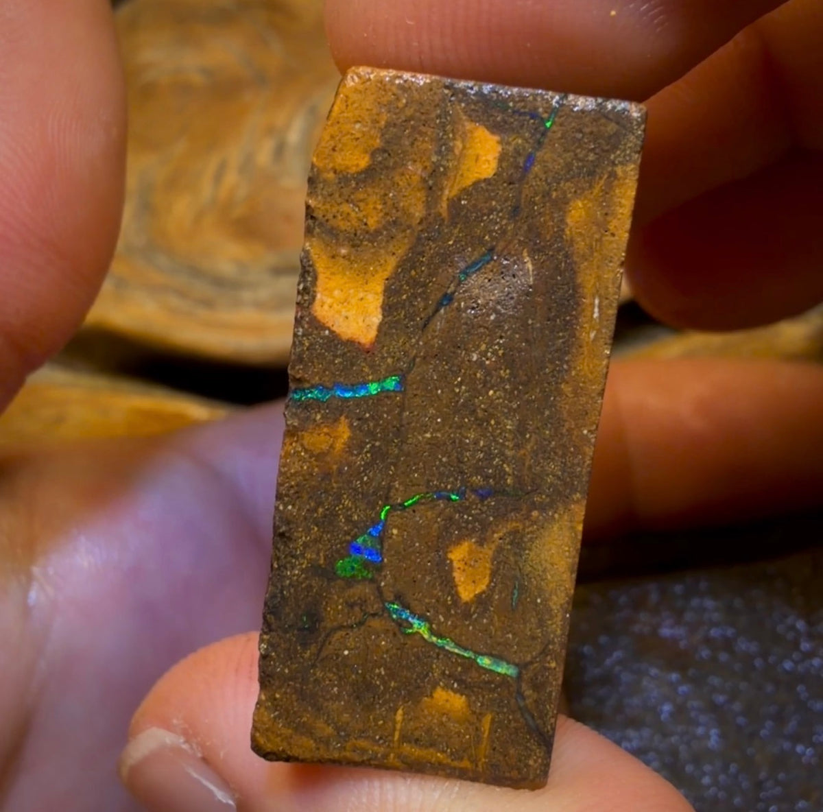 🔒Dealers Wildcard 507.7cts - 2x Australian Boulder Seam Opal Rough Pieces