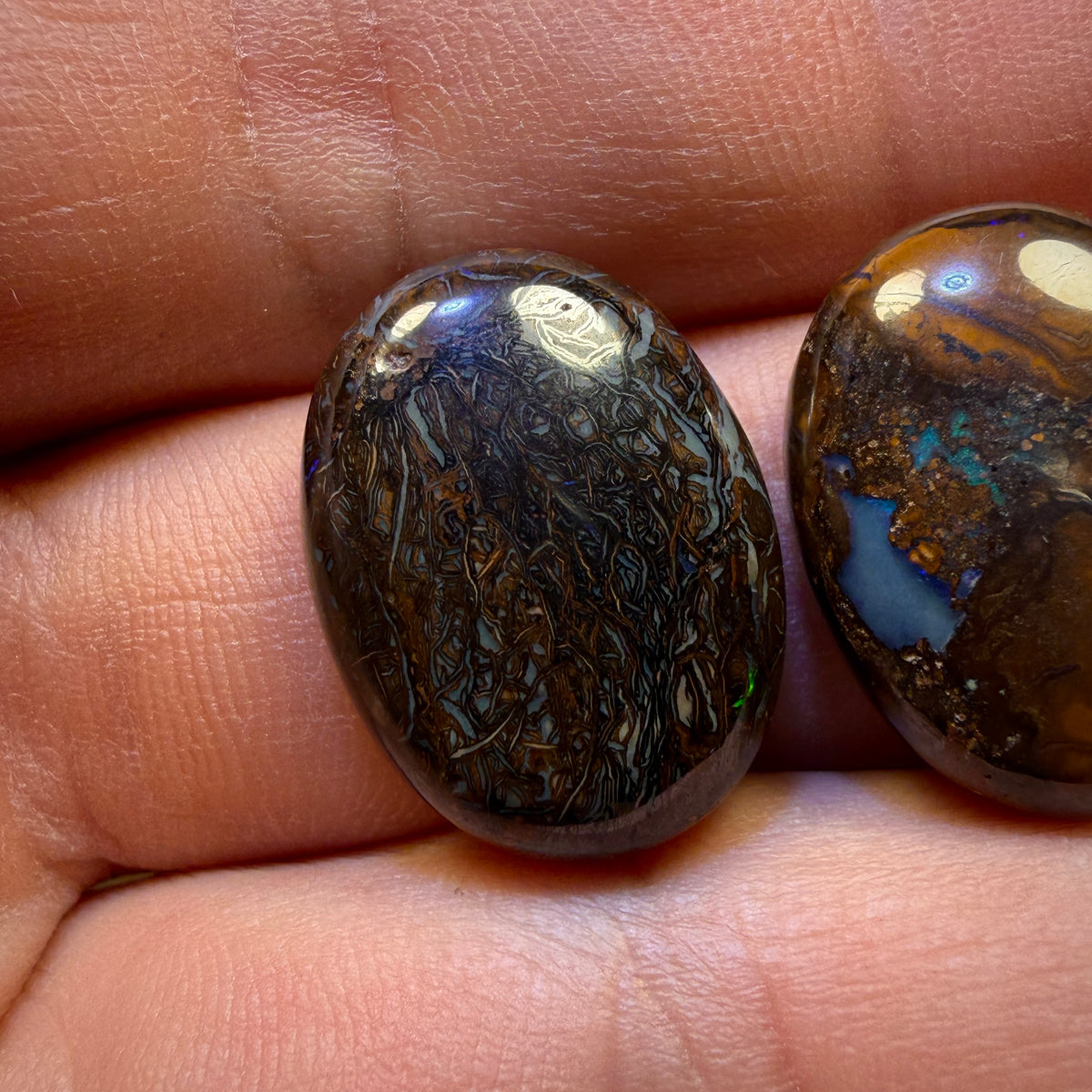 54.2cts - 3x Australian Tribal Boulder Opal’s. Wholesale Parcel