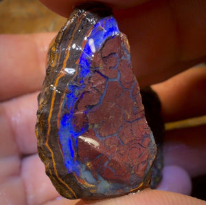 🔒157,6 cts - Lot de 3 opales brutes Yowah Nut. Opale boulder australienne