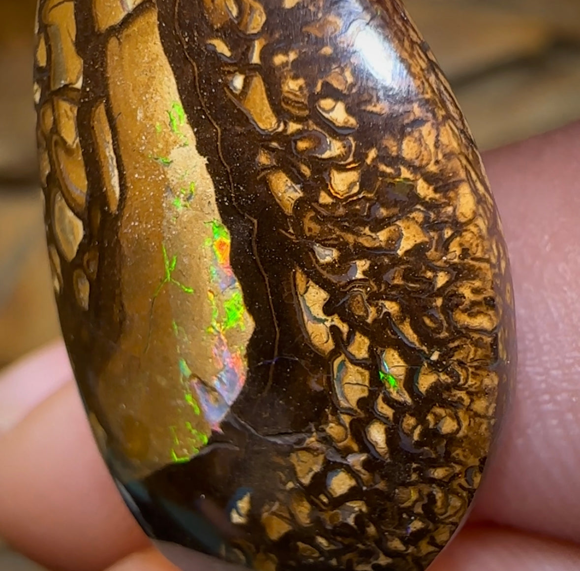 20.4cts - Australian Boulder Opal - Opal Whisperers