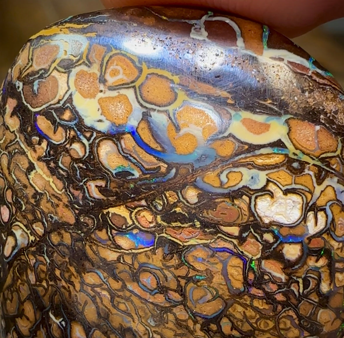 69.3cts - Yowah Nut Opal. Tribal Pattern - Opal Whisperers