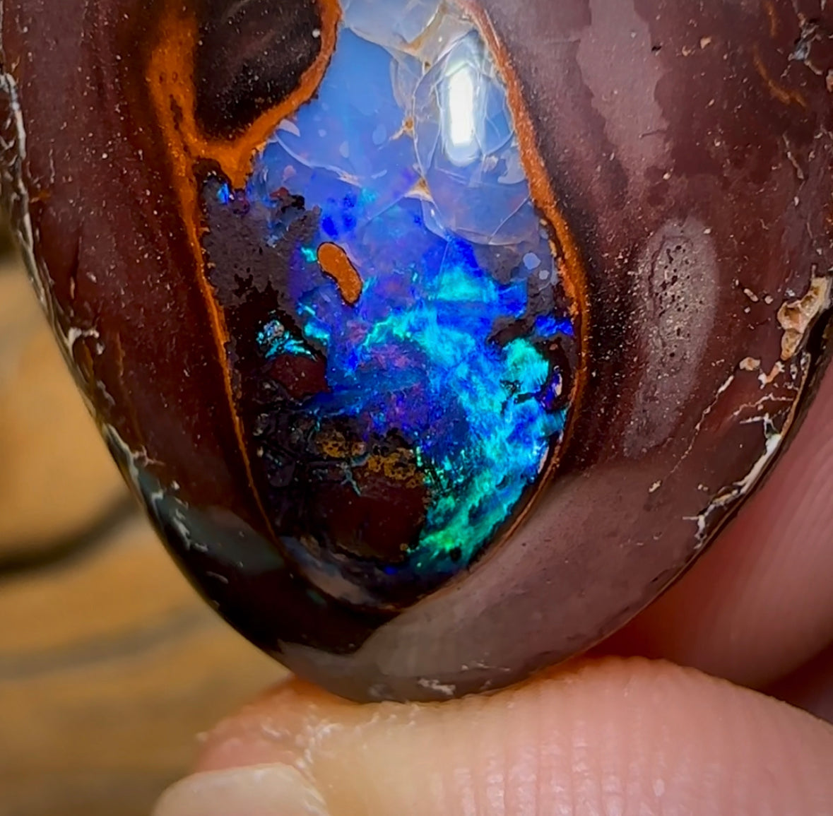 67.5cts - Yowah Nut Kernel Opal. Australian Opal - Opal Whisperers