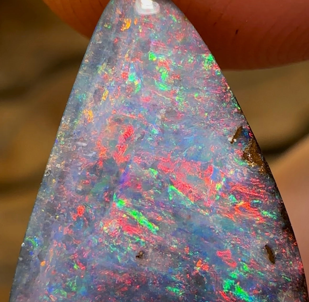 7.1cts - GEM Queensland Boulder Australian Opal - Opal Whisperers