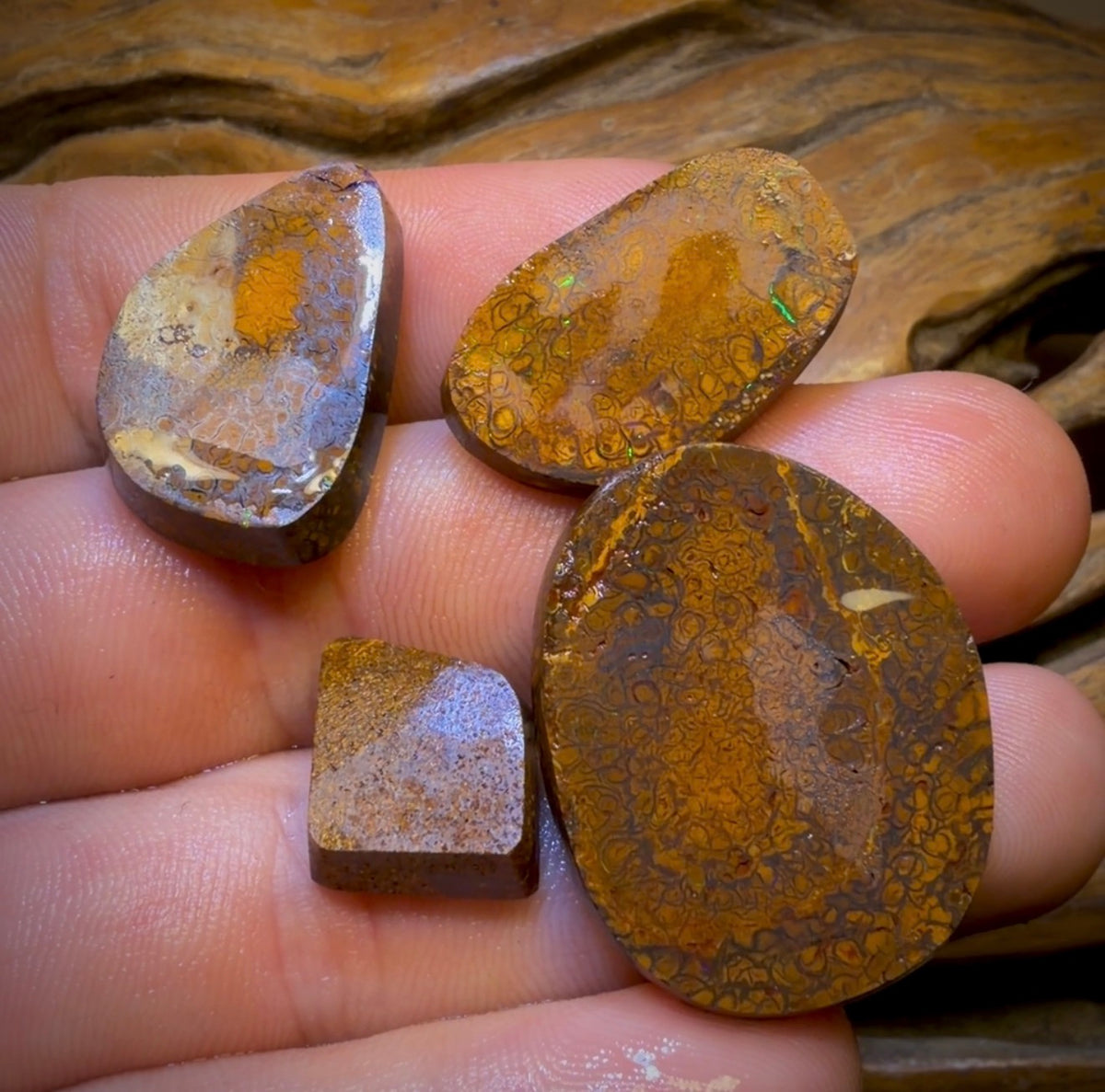 105.2cts- 4x Tribal Queensland Boulder Opal Rubs