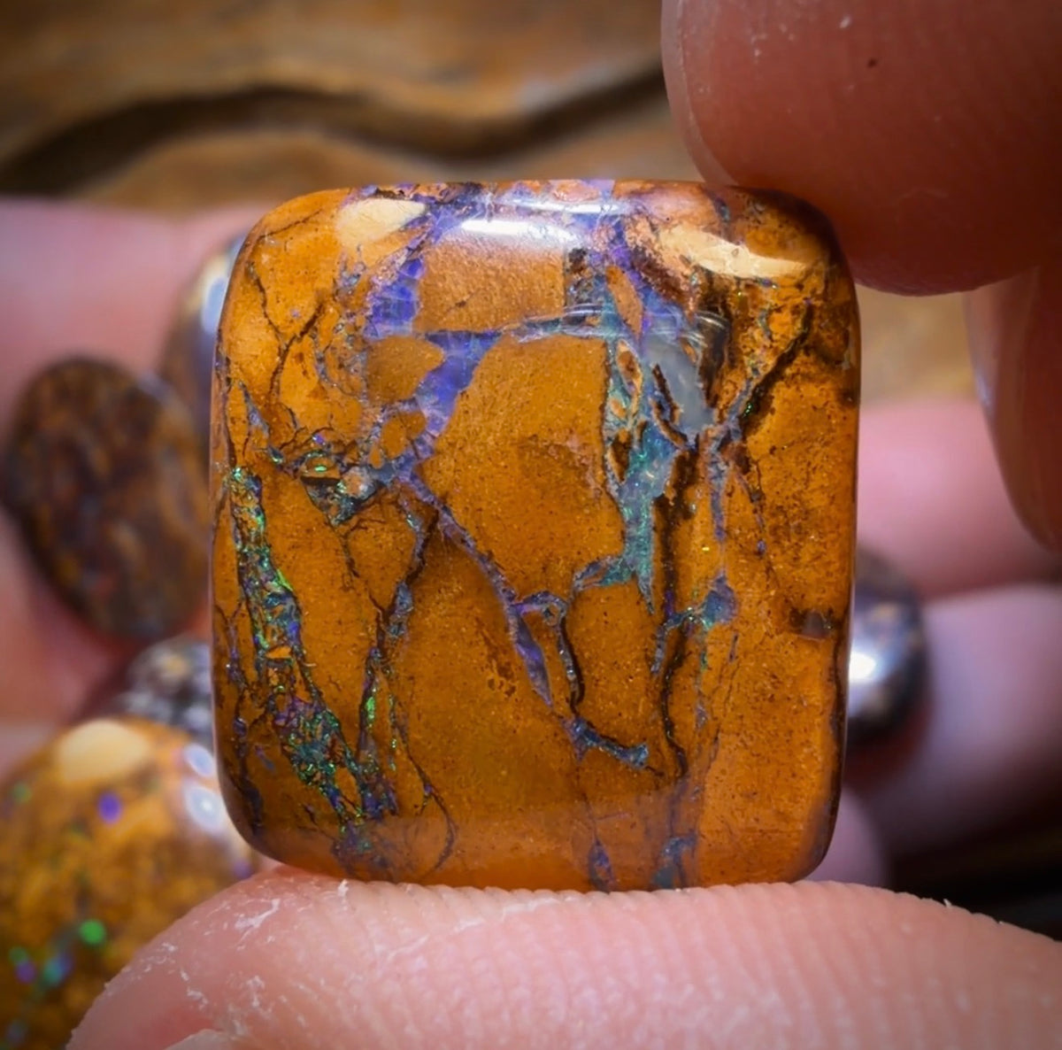 122.7cts - 10x Australian Tribal Boulder Opal’s. Wholesale Dealer’s Parcel