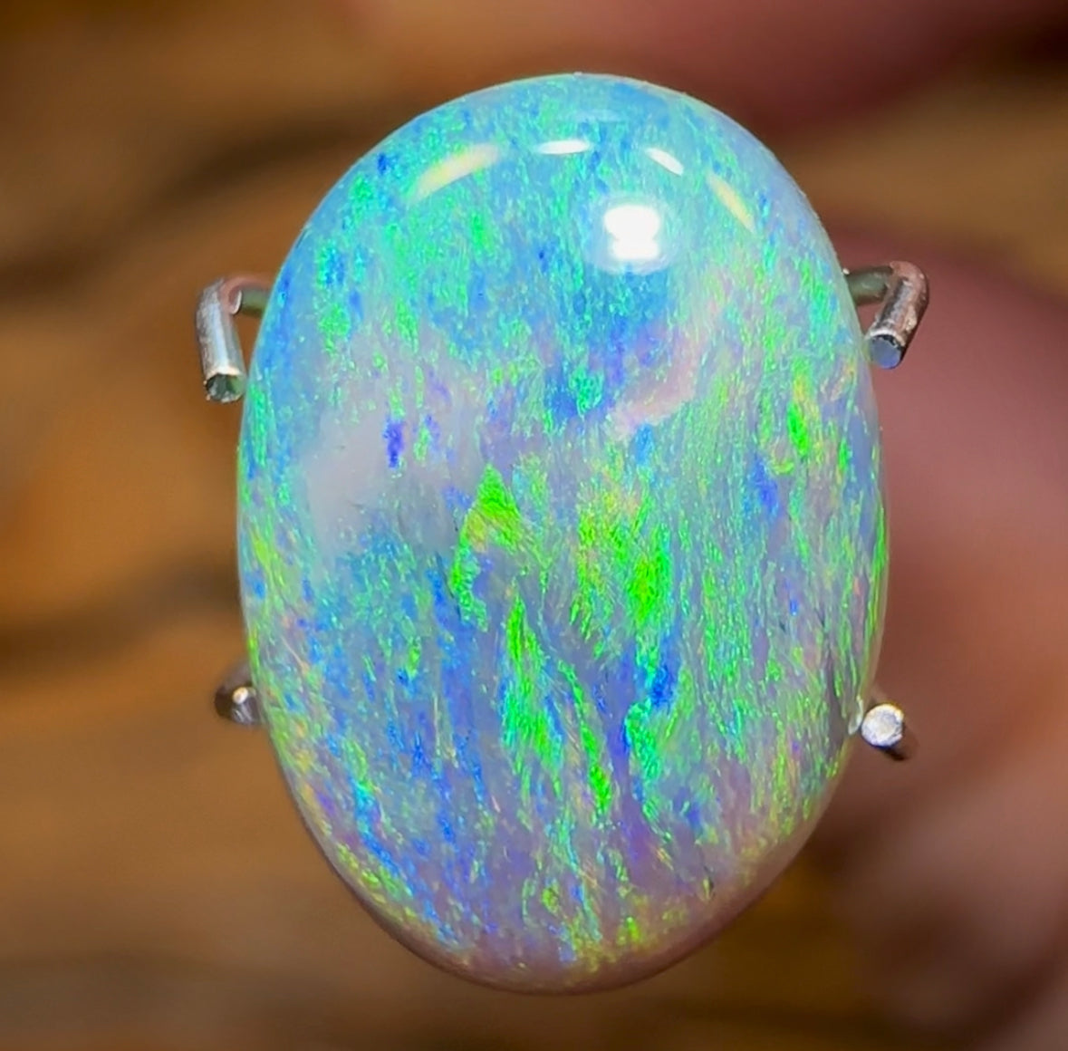2.2cts - Australian Dark Opal “Bean” from Lightning Ridge - Opal Whisperers