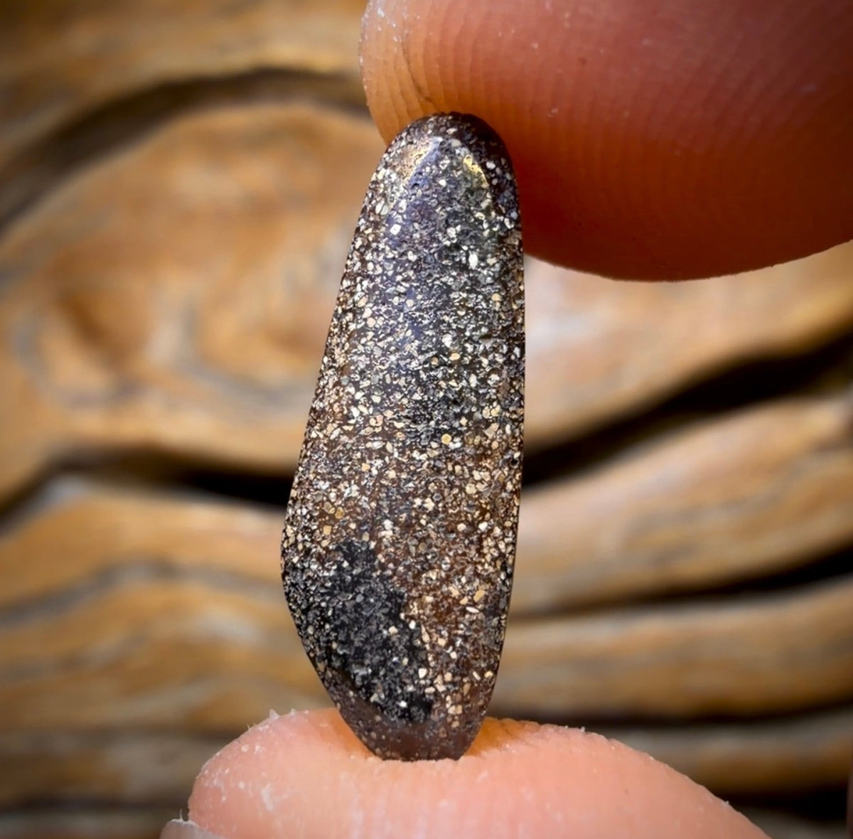 3.9cts - Banger! Queensland Boulder Black Opal. Multicolours!