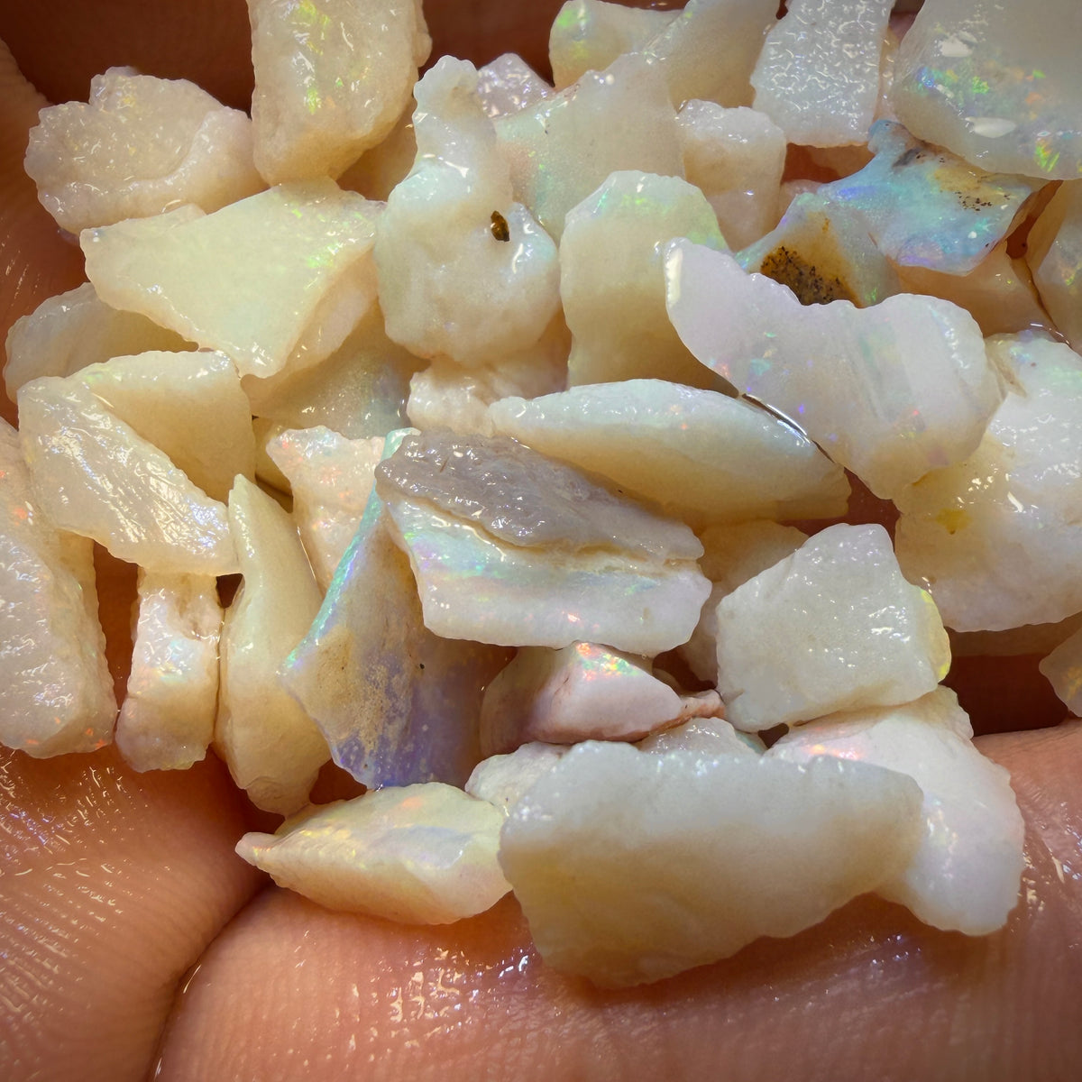80.5cts - 56x South Australian White Opal Rough Chips Parcel