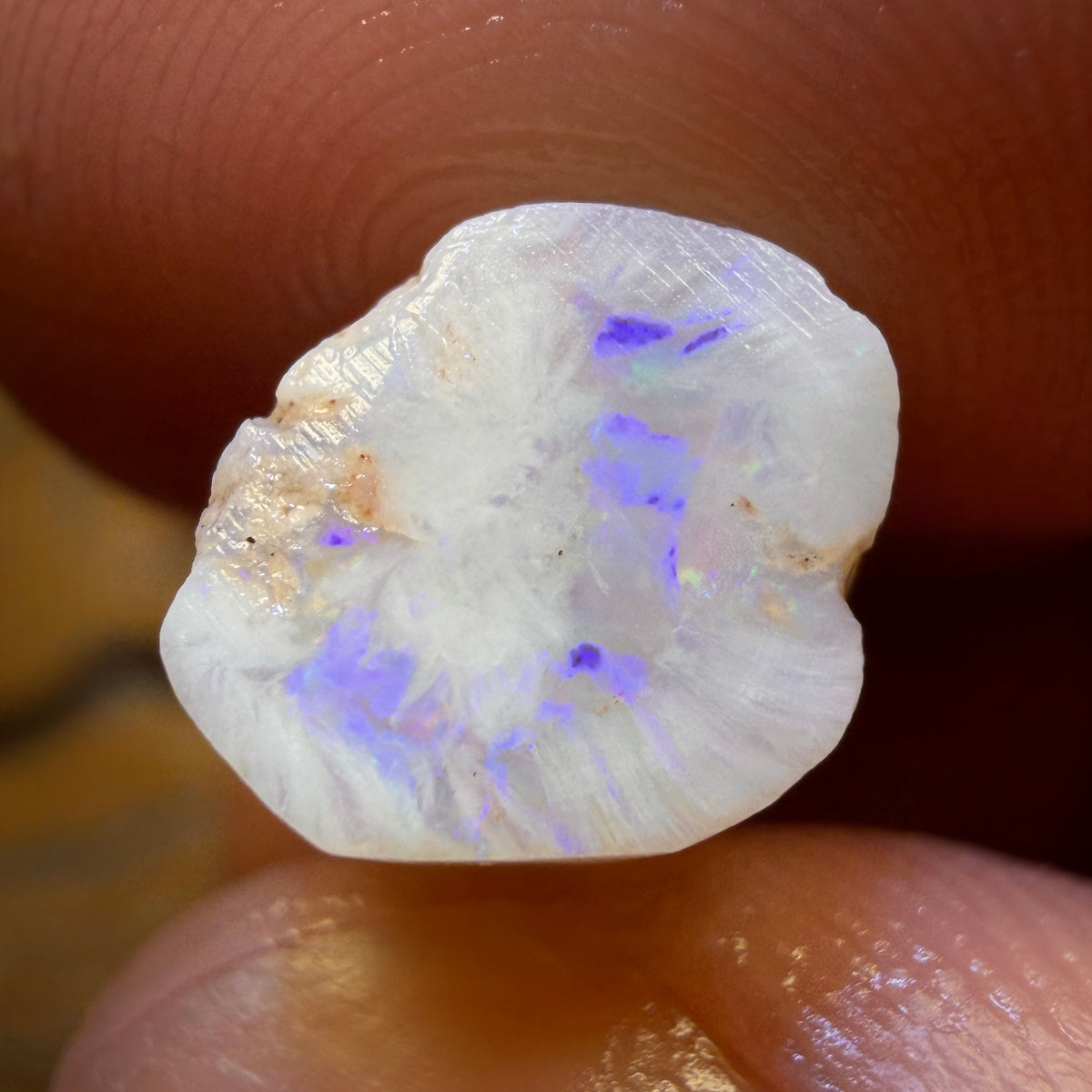14.9cts - Opalised Belemnite Geological Specimen from South Australia