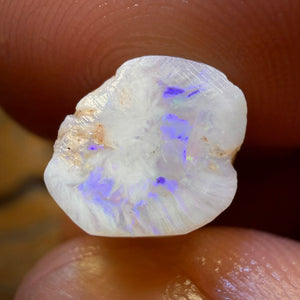 14.9cts - Opalised Belemnite Geological Specimen from South Australia