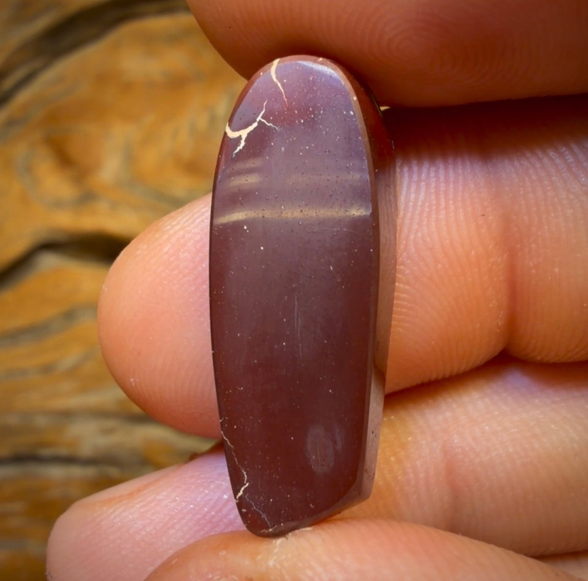 17.2cts - ‘Rainbow Six’ Top Tribal Boulder Opal from Koroit. Red Multicolours!