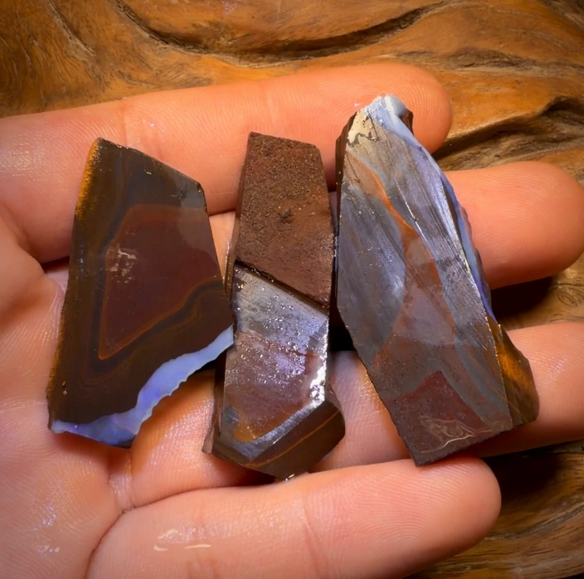 🔒 I’ve Got the Blues Collection 195.9cts - 3x Australian Boulder Seam Opal Rough Parcel