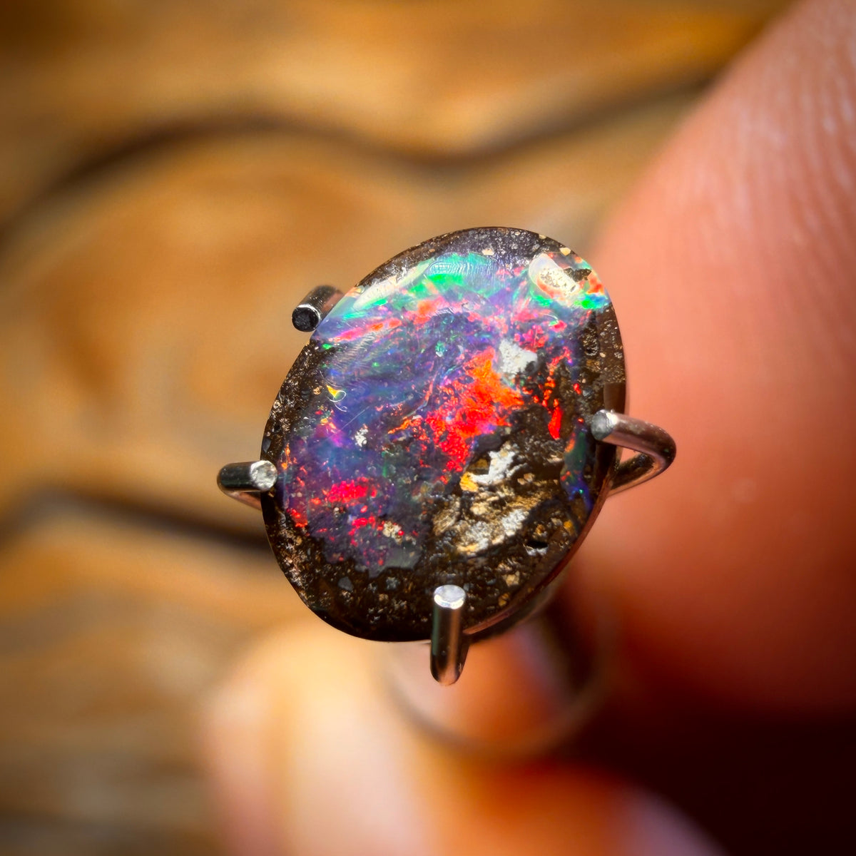🔨 AUCTION 🔨 Reserve 💎 High Roller Banger Auction 💎 Top Red 0.95cts - Queensland Boulder Seam Opal from Winton