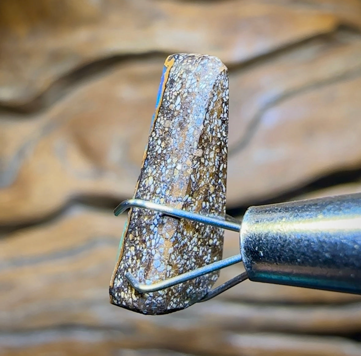 3.9cts - Queensland Boulder Seam Opal from Winton - Opal Whisperers