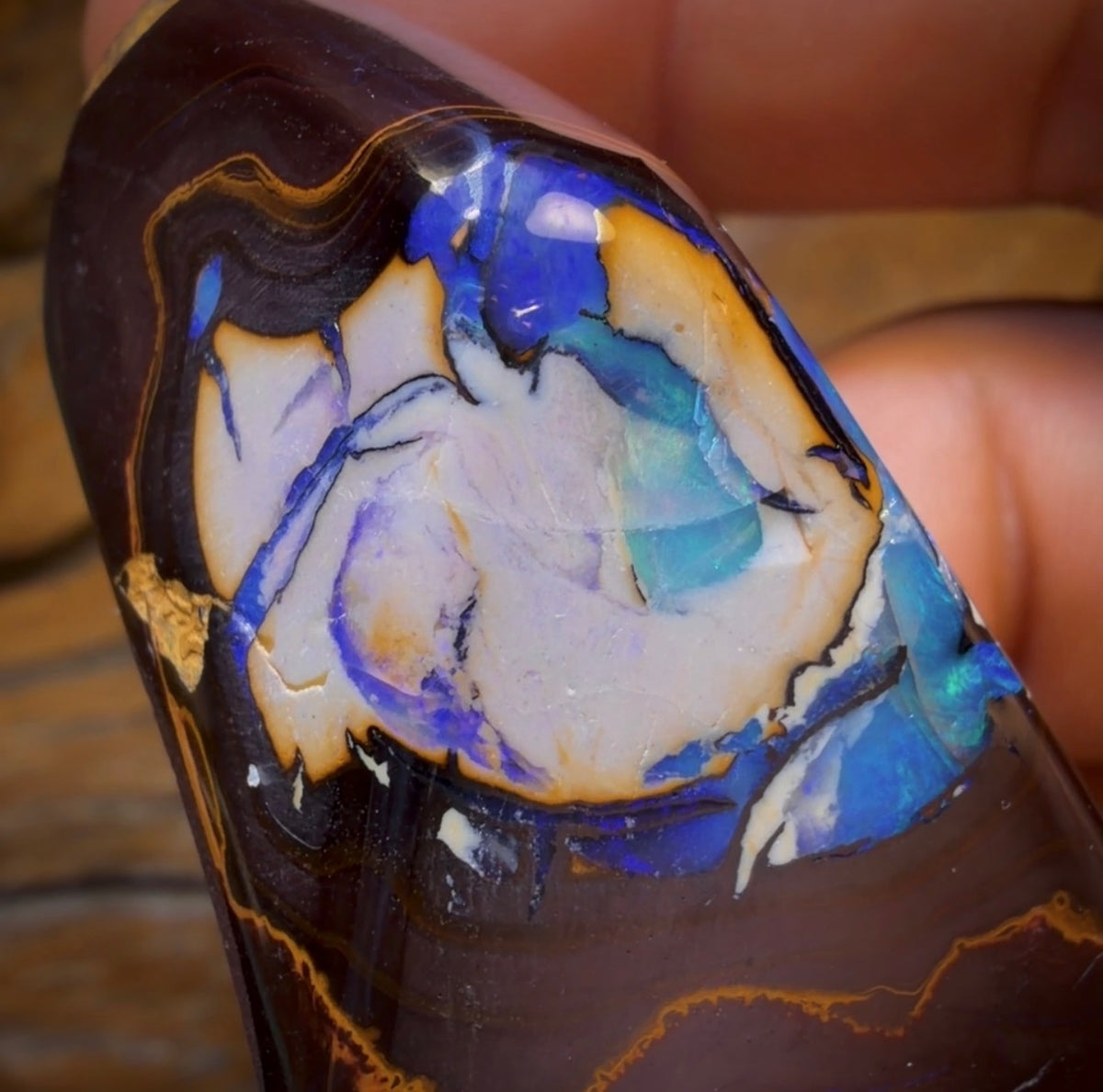 260.1cts - Yowah Nut Kernel Opal. Polished Specimen