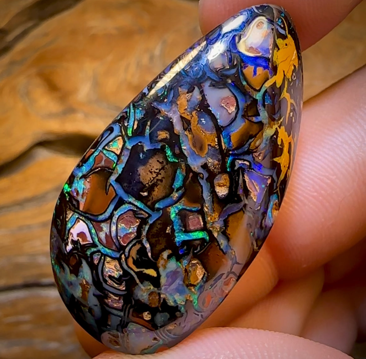 95.8cts - Top Tribal Koroit Nut Opal. Australian Opal