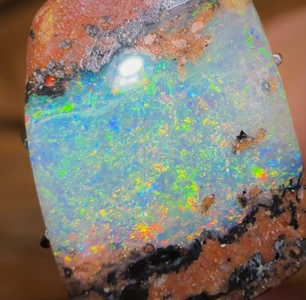 5.2cts - Solid Australian Boulder Pipe Opal