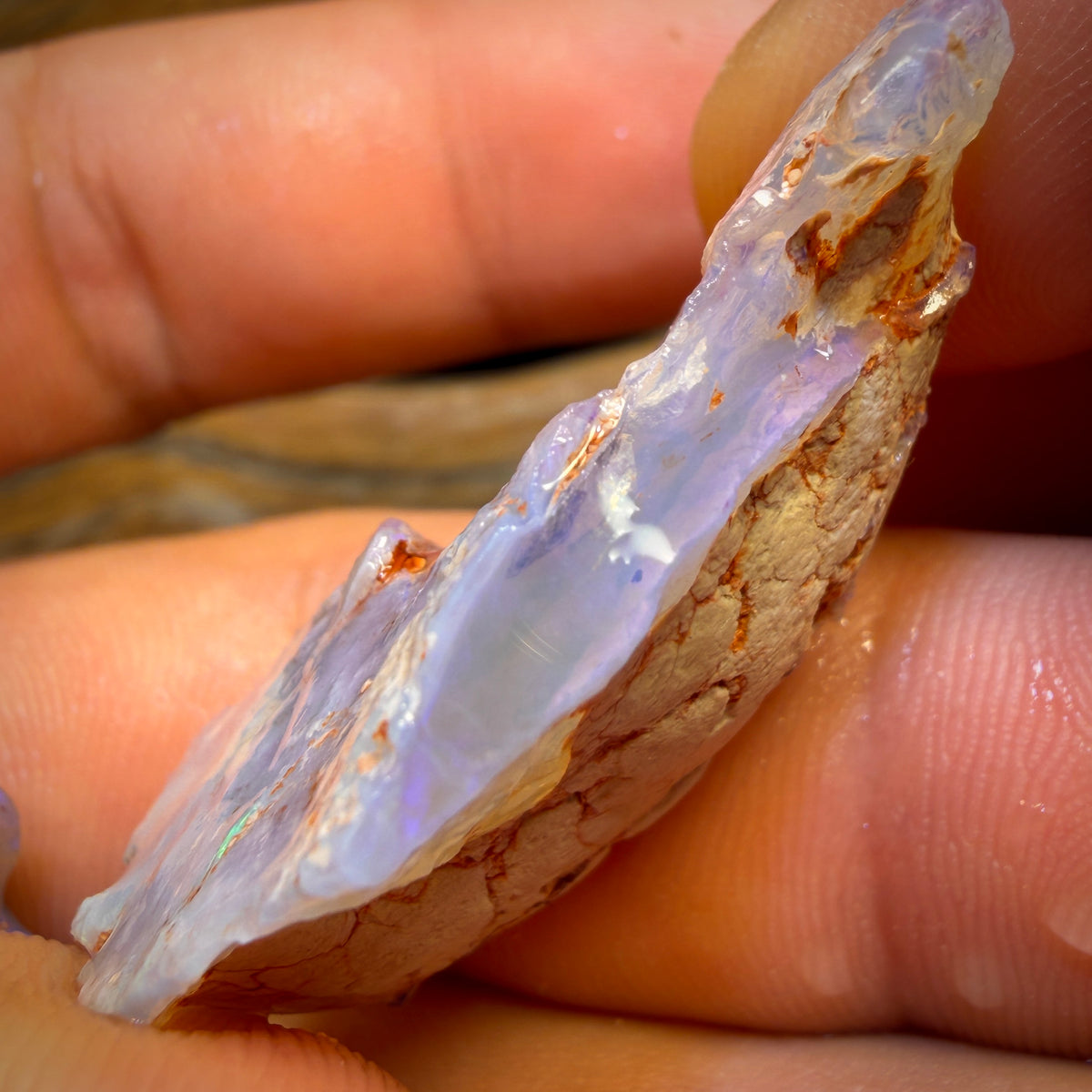 60.4cts - 2x Lightning Ridge Opal Rough Pieces