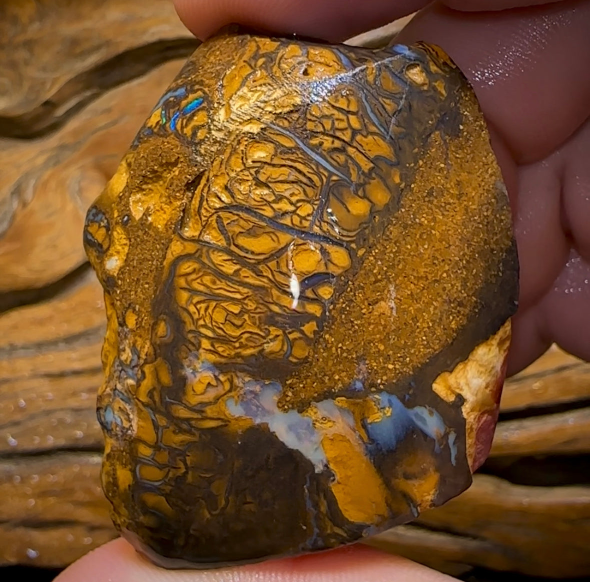 (Template) 296.1cts - Yowah Nut Opal Specimen Rub - Opal Whisperers