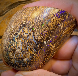 Opale boulder tribale beige du Queensland, 574,5 carats. Spécimen poli.