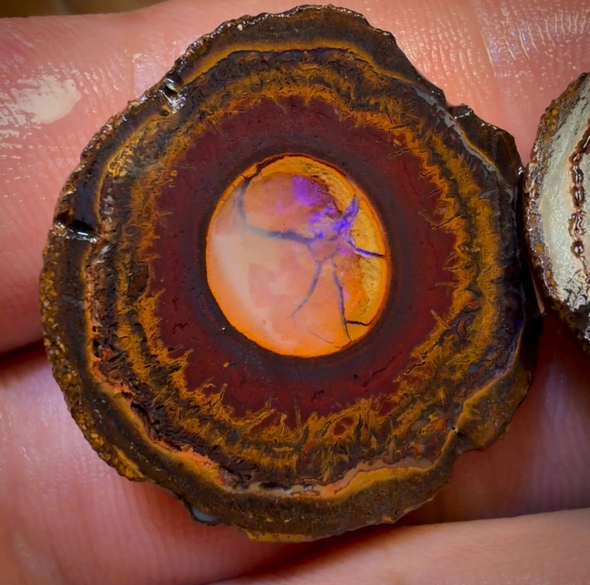 OpalFest Wildcard! 114.3cts - RARE Yowah Nut Crystal Centre Rough Specimen Pair