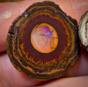 OpalFest Wildcard! 114.3cts - RARE Yowah Nut Crystal Centre Rough Specimen Pair
