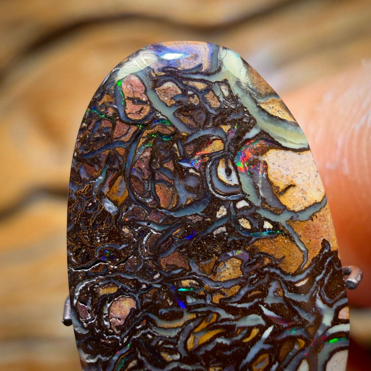 5.2cts - Multicolour Tribal Yowah Nut Opal