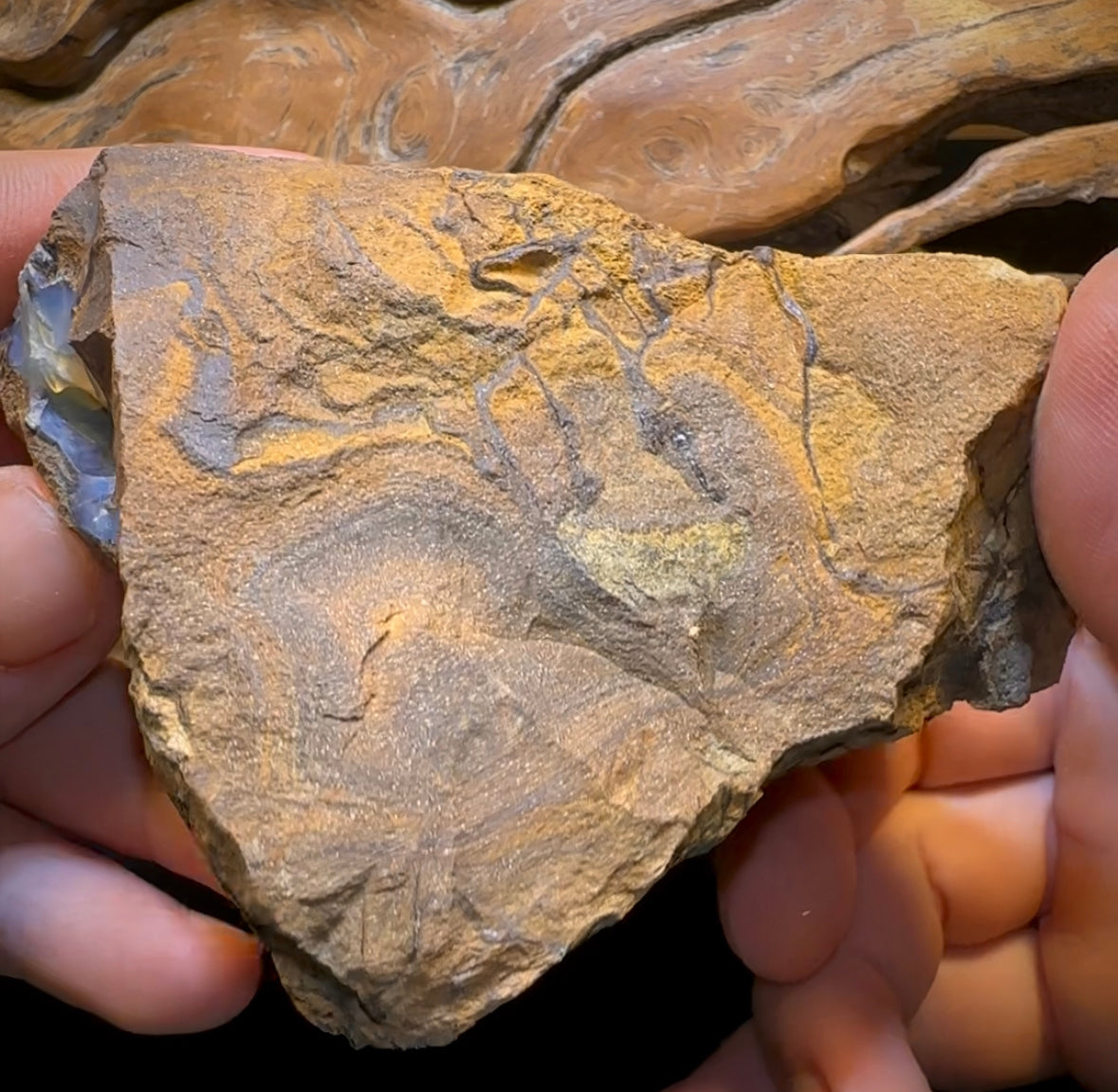 691g - Large Queensland Boulder Seam Opal Rough Specimen - Opal Whisperers