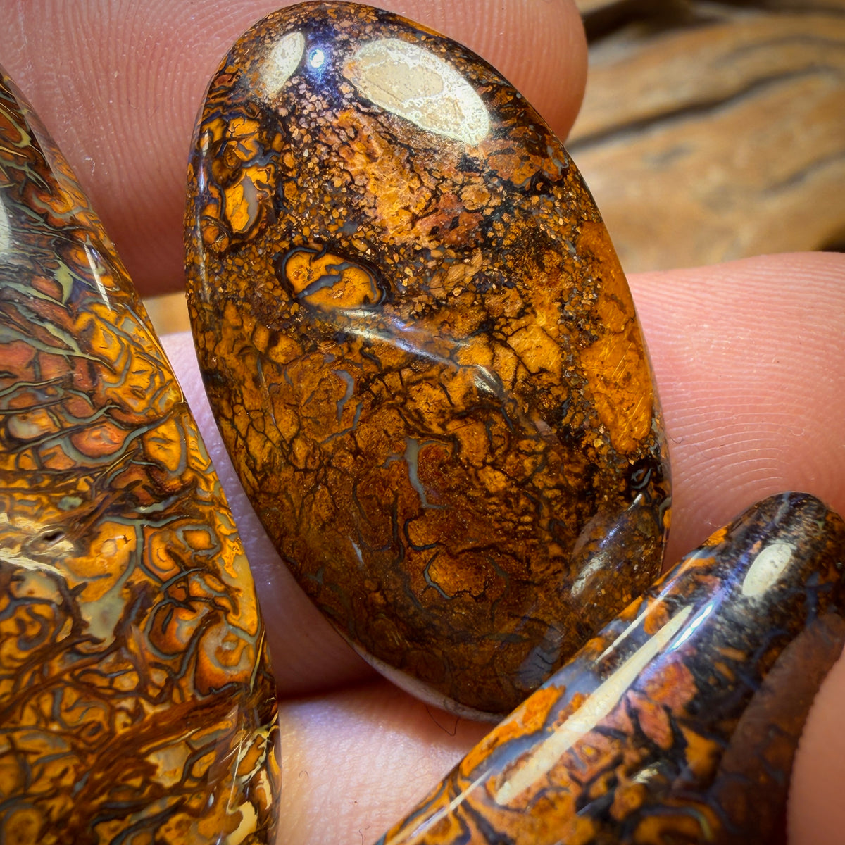 🔒217.7cts - 5x Australian Tribal Boulder Opal’s. Wholesale Dealers Parcel