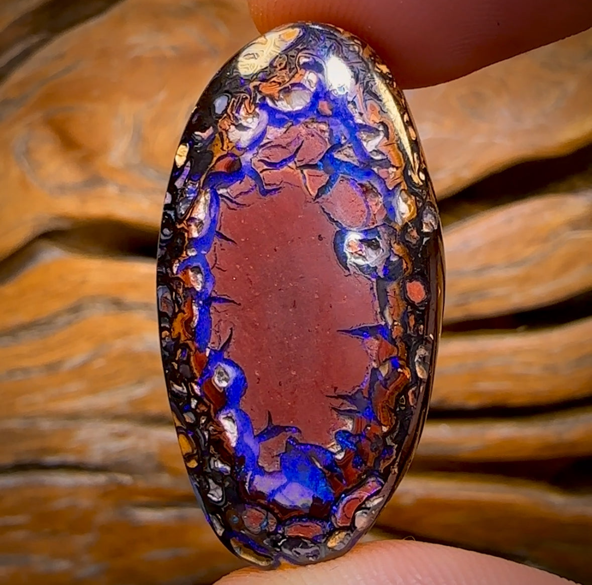51.8cts - Tribal Queensland Boulder Opal from Yowah