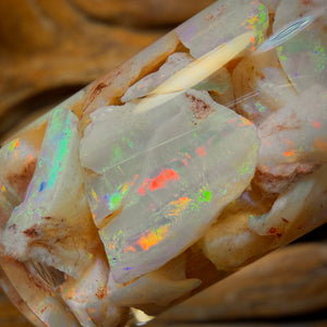 60.5cts - Vial of Shell Fossil Opal from South Australia