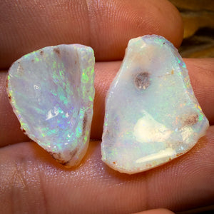 18,2 cts - 2 spécimens bruts géologiques de coquillages opalisés d'Australie du Sud