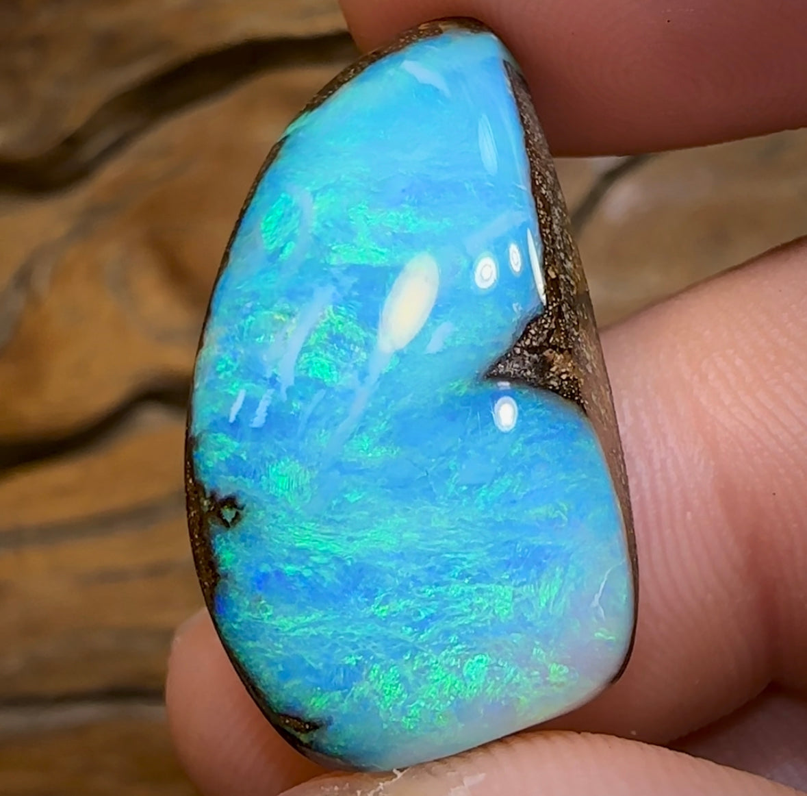 40.1cts - Queensland Boulder Opal from Winton - Opal Whisperers