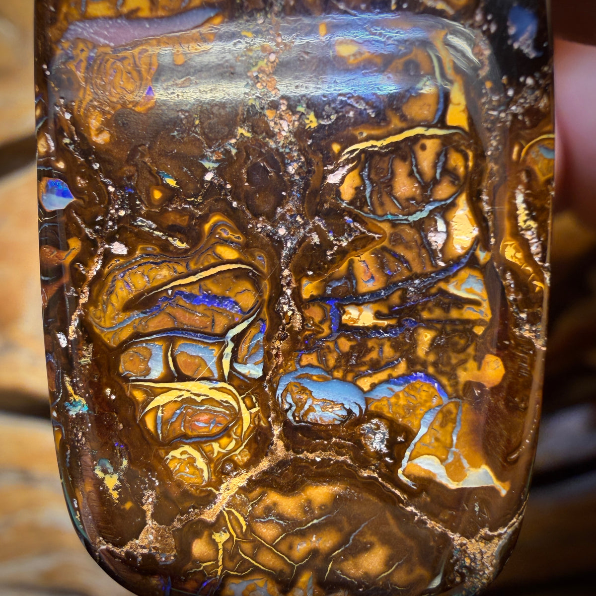 37 x 23mm - Drilled Tribal Queensland Boulder Opal Necklace