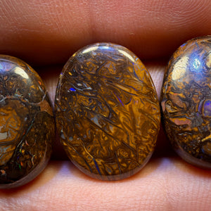 50.8cts - 3x Australian Tribal Boulder Opal’s. Wholesale Parcel