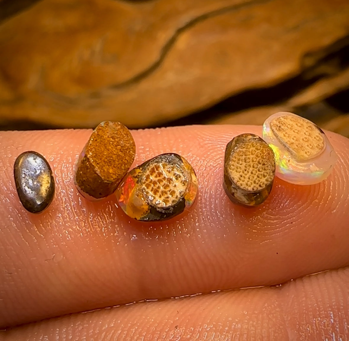 3.8cts - 5x Super Bright Australian Boulder Opal ring stone rub Parcel