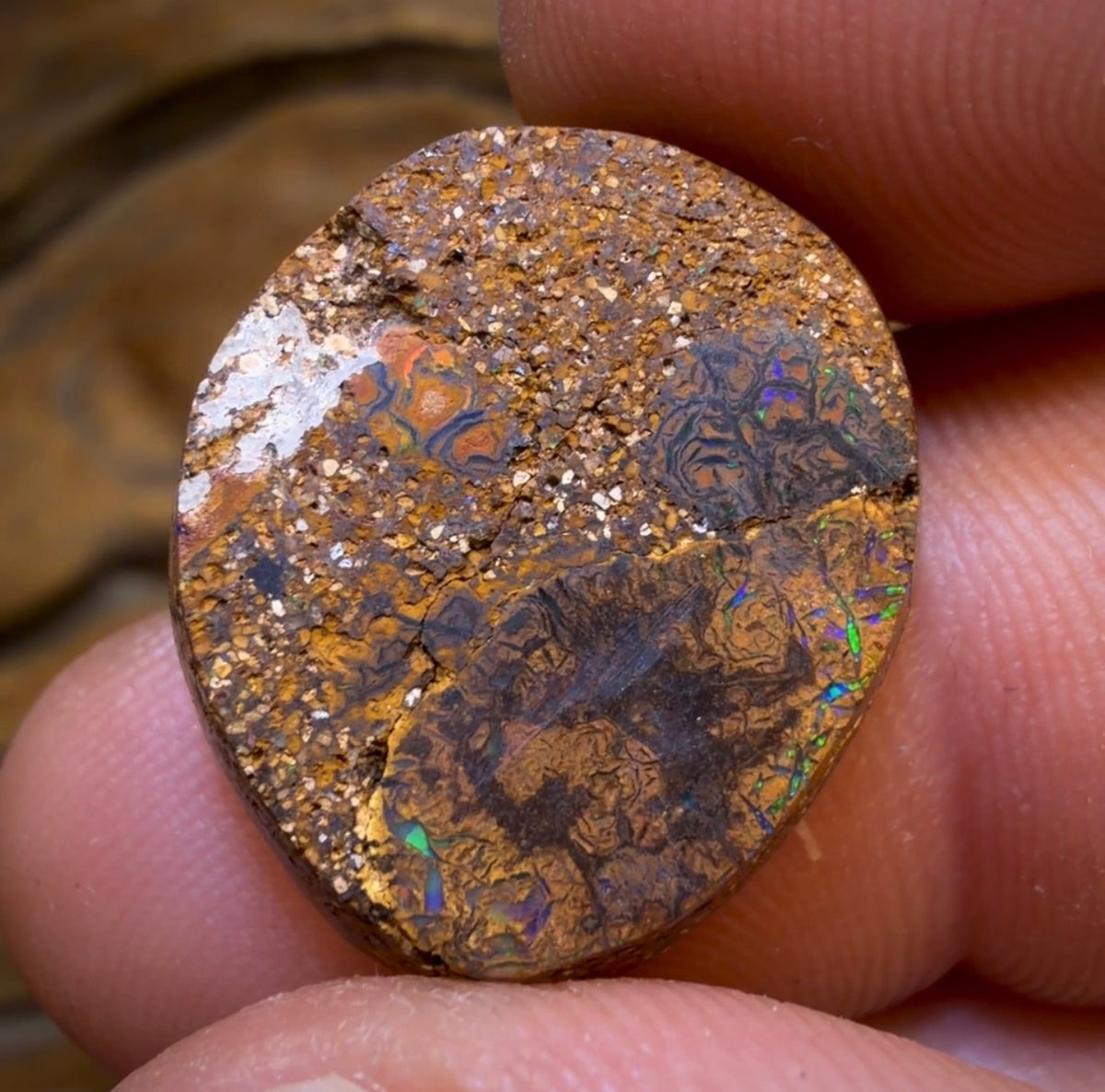 17.1cts - Tan Tribal Yowah Nut Opal. Australian Opal