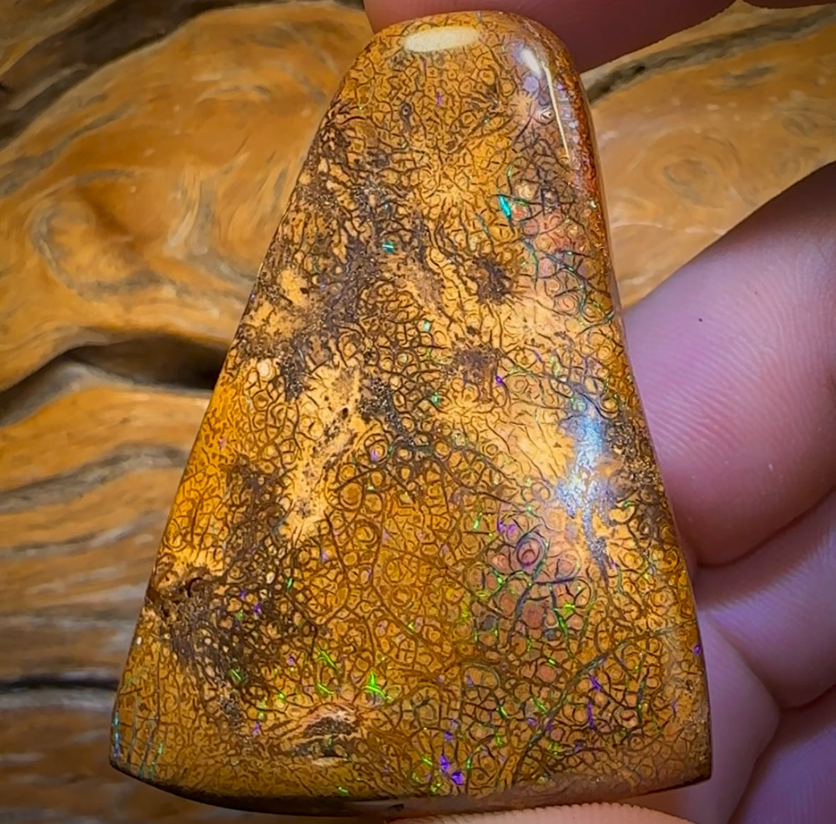 282.5cts - Intricate Tan Tribal Queensland Boulder Opal. Polished Specimen