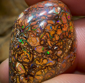 31.3cts - Double Sided Yowah Nut Opal Specimen. Orange Tribal Pattern