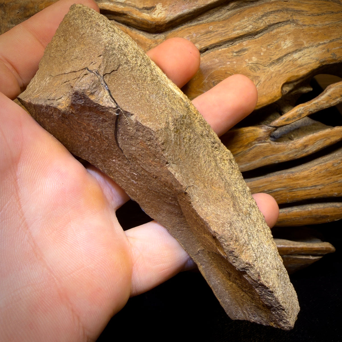 781.5cts - LARGE Queensland Boulder Seam Opal Rough Specimen