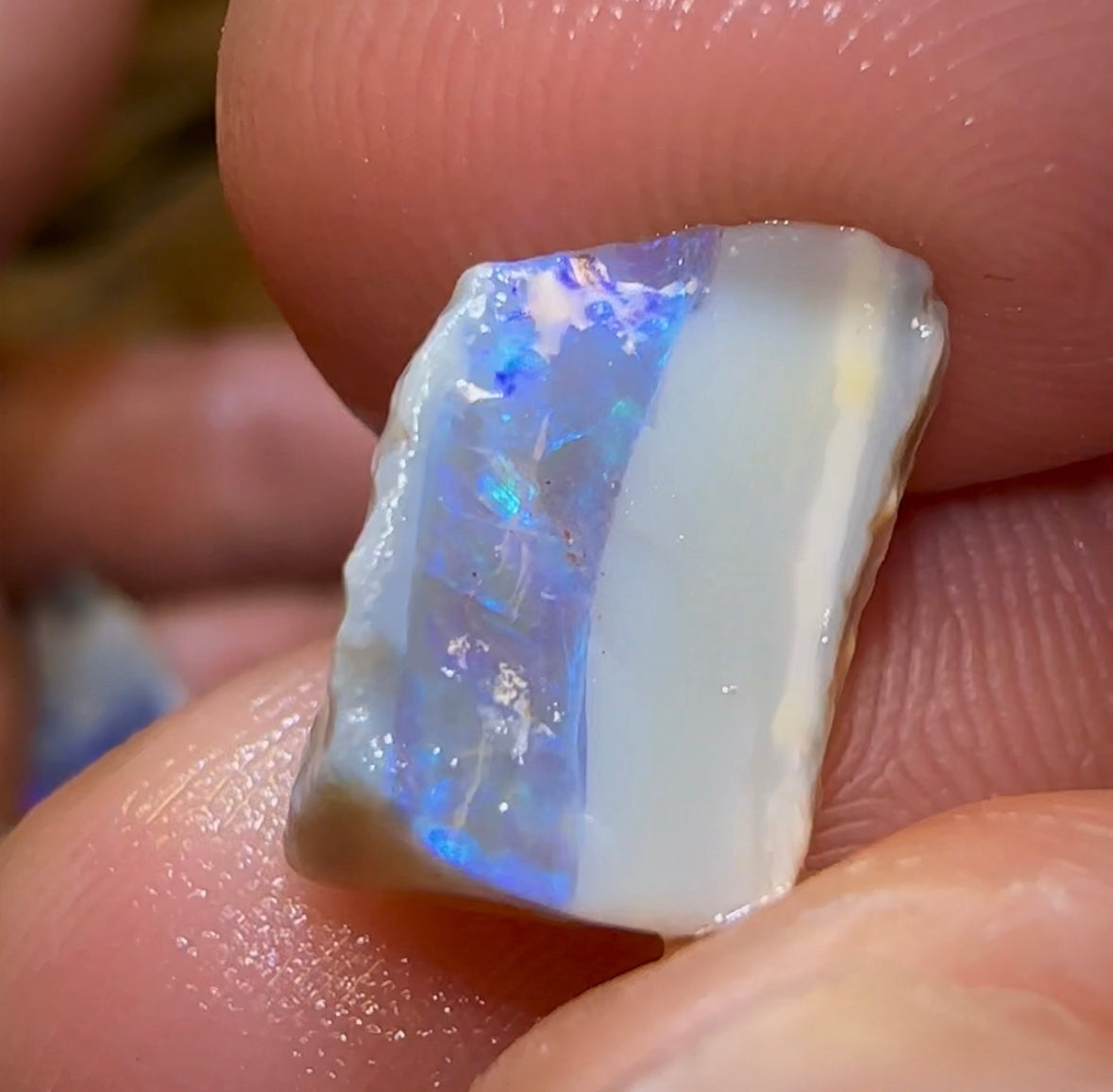 46.7cts - 5x Lightning Ridge Crystal and Dark Opal Rough Parcel - Opal Whisperers