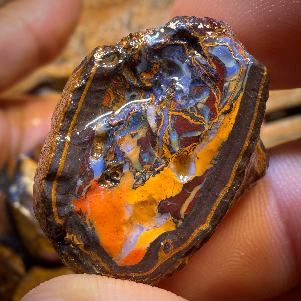 923cts - 11x Yowah Nut Rough Opal Parcel. Australian Boulder Opal