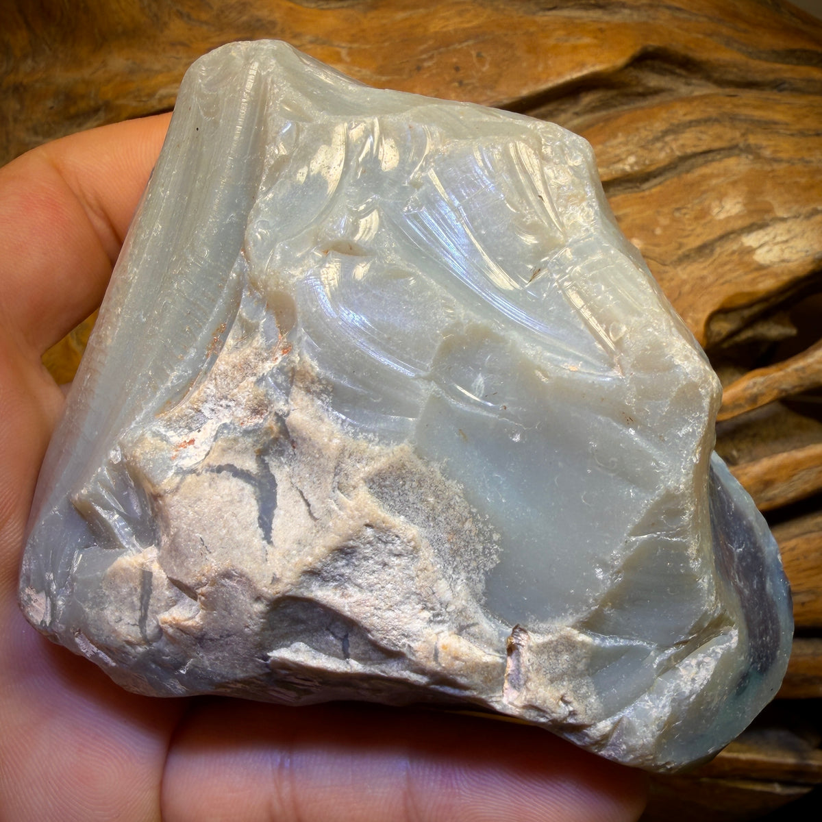 1333cts - HUGE Lightning Ridge Black Potch Opal Rough Piece