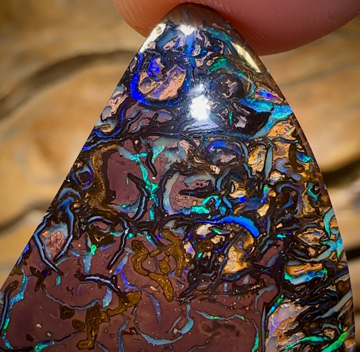 53.5cts - Electric Tribal Queensland Boulder Opal