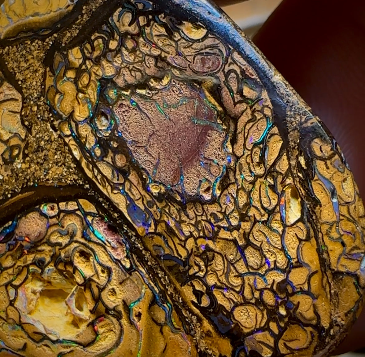 89.2cts - Tribal Australian Boulder Opal from Yowah HALF PRICE BARGAIN