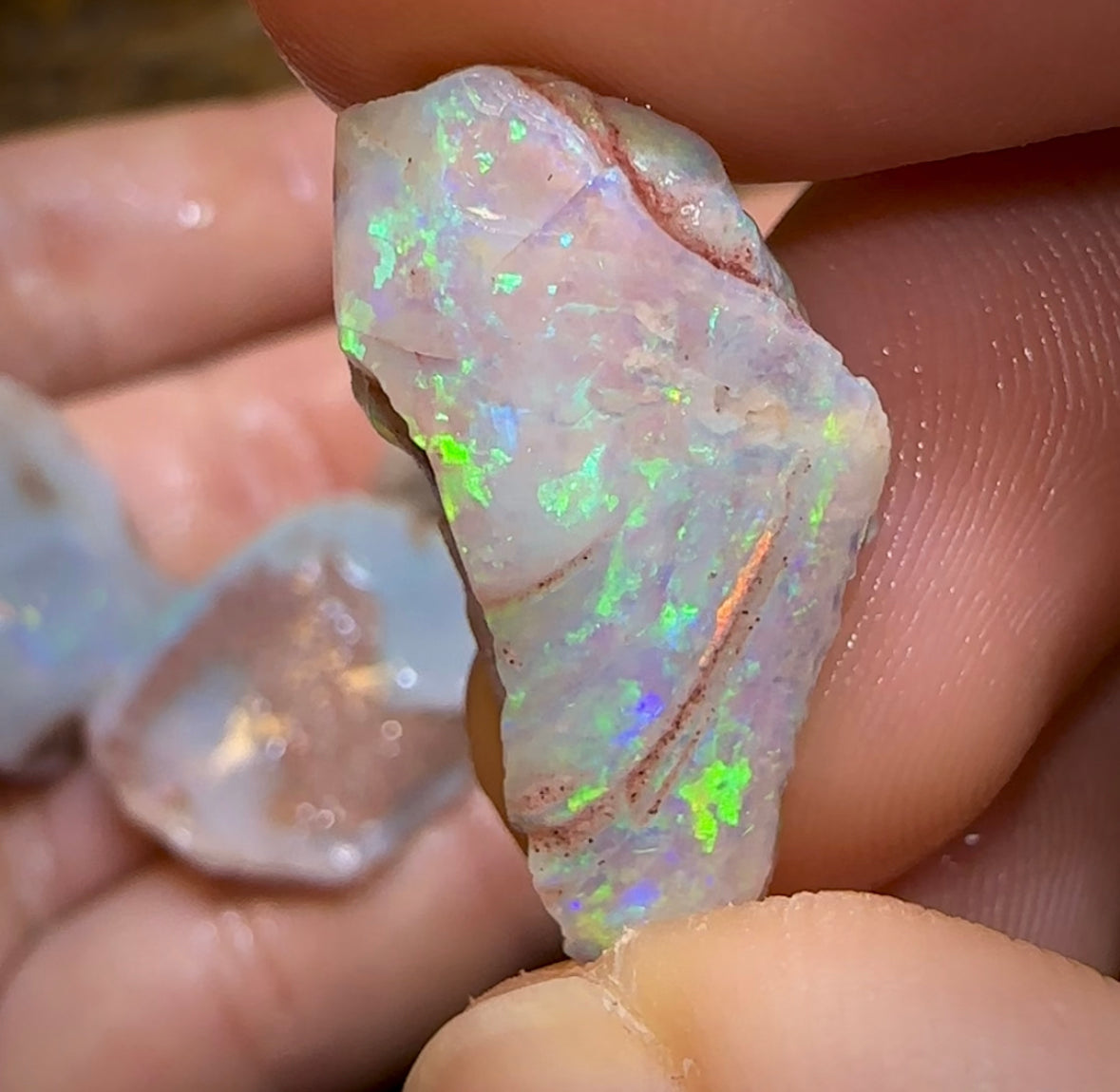 The 86.6cts - 4x Opalised Shell Geological Specimens from South Australia - Opal Whisperers