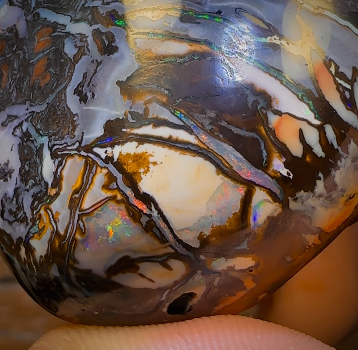 735cts - HUGE Rare Natural Broad Tribal Koroit Nut Opal Polished Specimen