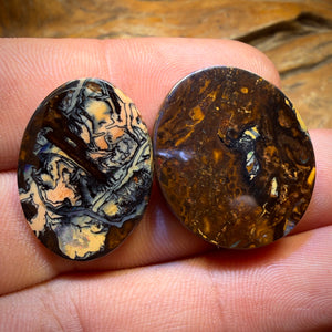 50.8cts - Alex Pick “WINDOWS”  TOP Yowah Nut Kernel Tribal Opal Picture Pair